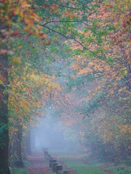 Herfst en mist 