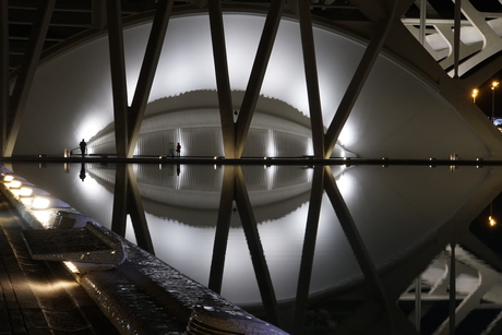 Musee de les Ciences Principe Felipe