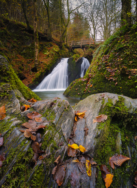 Sitting in the woods