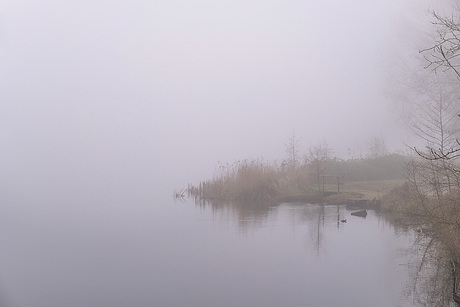 Mist