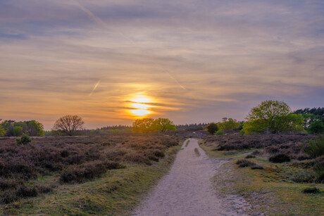 zonsondergang op de heide