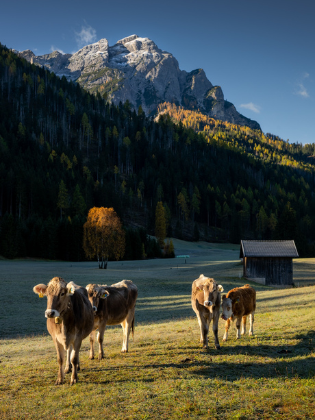 The mountain landscape