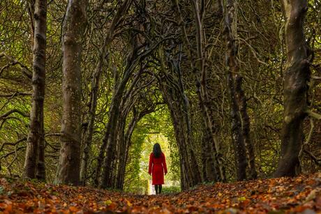 🍁Herfstkleuren🍁