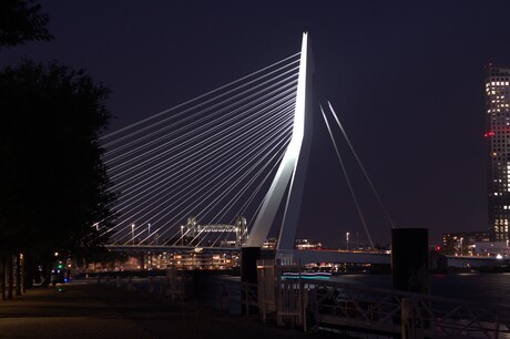 Erasmusbrug Rotterdam