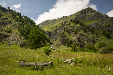 Gran Paradiso