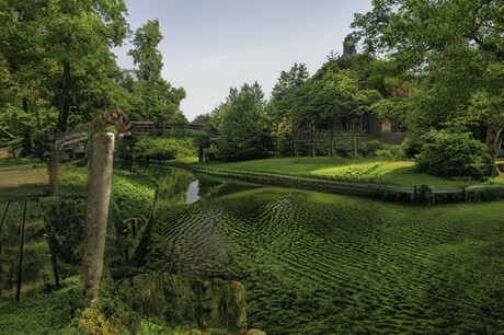 Overwoekerd Giethoorn