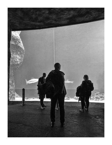 - Nederland | Burgens Ocean | Silhoueten -