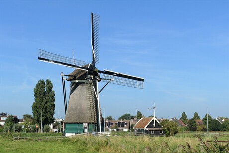 P1150744  Uitgeest Molen de KAT  1842   8 sept 2021 