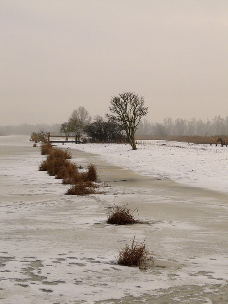 uit het archief 2010,