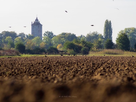 Landgoed Haarzuilens