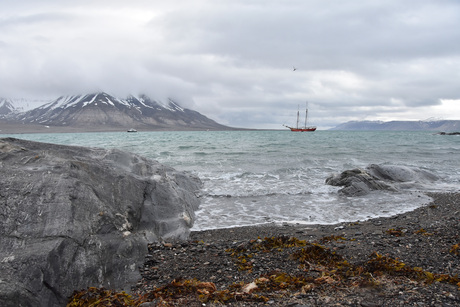 Op verkenning vanaf het schip