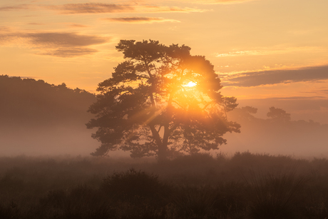 Zonsopkomst met Mist