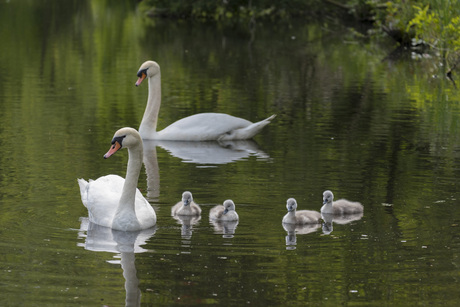 Familie!