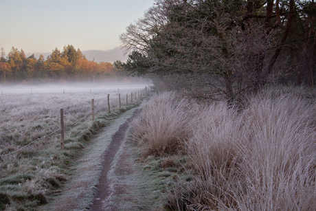 Een koude ochtend