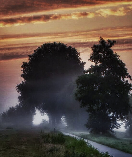 Nevelige zonsopkomst 