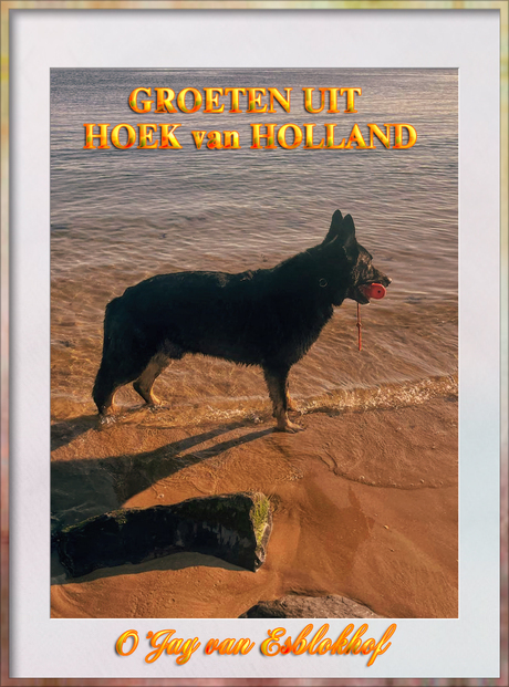 Hoek van Holland.