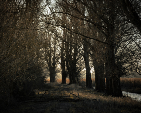 Natuurgebied Munnikenland