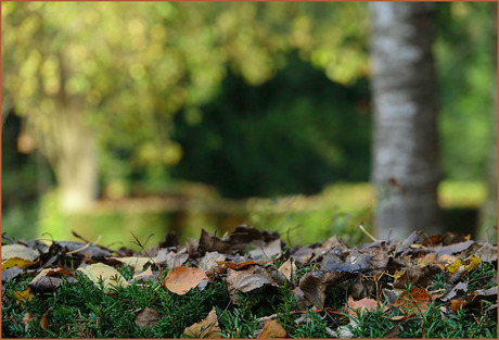 de herfst.....................................