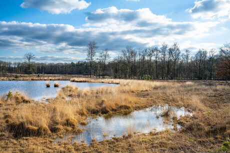 Wolkendek