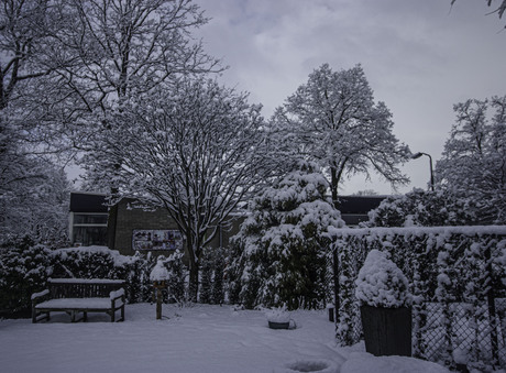 mooi winter tafareel in tuin van ouders