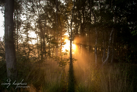 licht in de duisternis