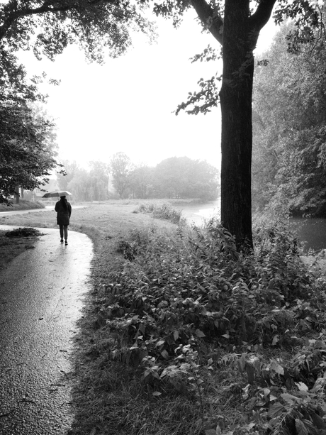 Zomeravond wandeling in de regen