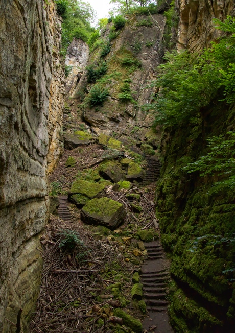 De Wolvenkloof  bij Echternach. 