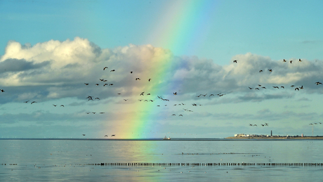 Het Wad