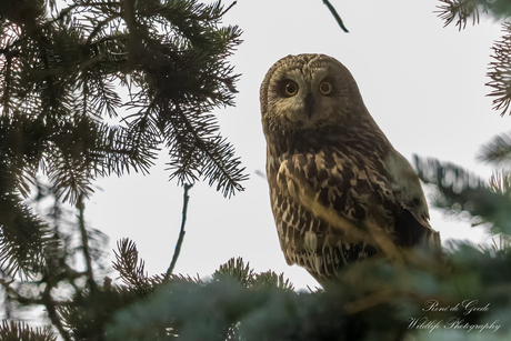 "such a beauty " 💕💕