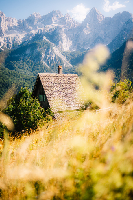 Straight Outta Fairytale.