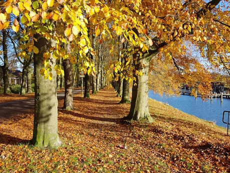 Kerk van het ongekloofde hout