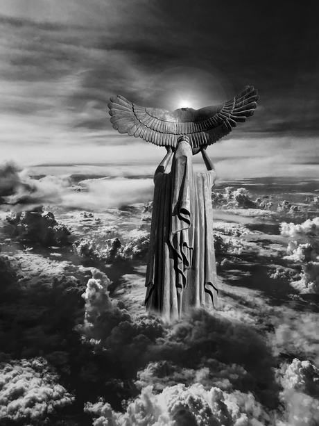 Flight of the Condor