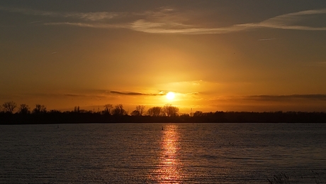 zon 