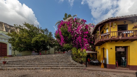 Bougainville, het restaurant en de trap