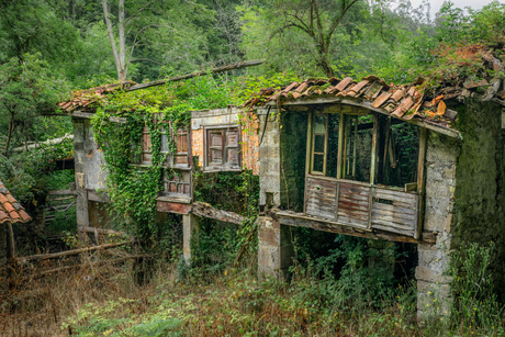 Verwaarloosd of nieuw leven?