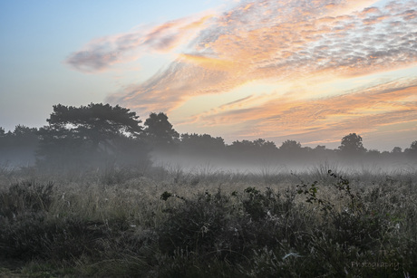 mooie lucht