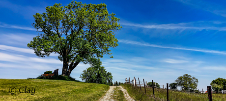 Kaiserstein in Hochroterd - Oostenrijk (122149)