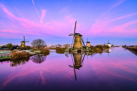 Kinderdijk in kleur