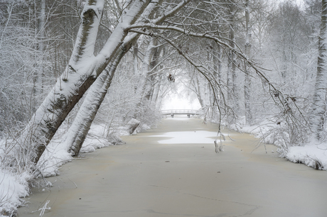 Winters doorkijkje