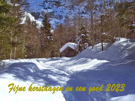 Winters wandelpad
