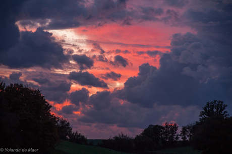 Avondrood water in de sloot