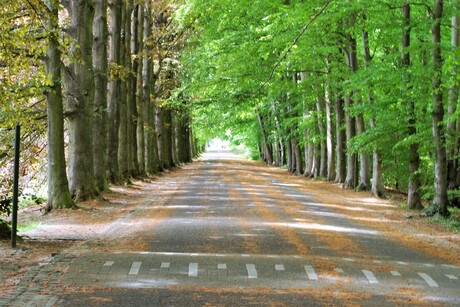 park tervuren belgie