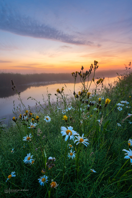Sunlit Secrets