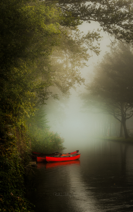 Dreamscape