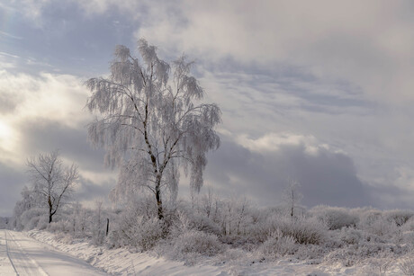 Winter in aantocht