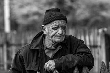 Getekend door het leven