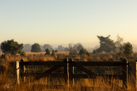 Uitzicht over de heide