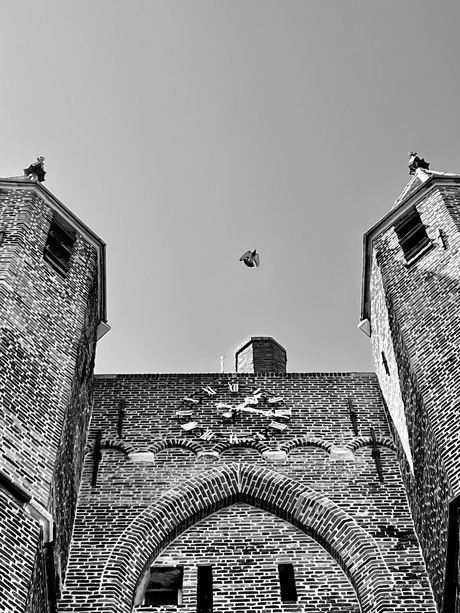 De Klok van de Amsterdamse Poor