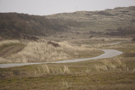 Pad door de duinen