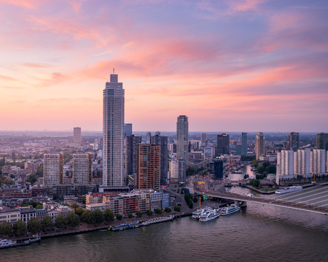 Pink Rotterdam 